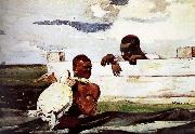 Winslow Homer Turtles captured in oil painting reproduction